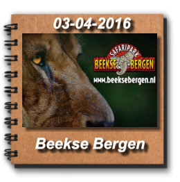 03-04-2016 Beekse Bergen