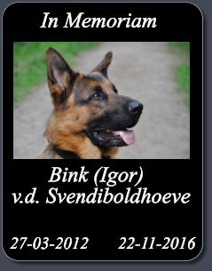 Bink (Igor) v.d. Svendiboldhoeve 27-03-2012       22-11-2016 In Memoriam