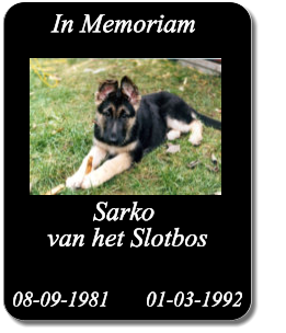 In Memoriam            Sarko     van het Slotbos 08-09-1981       01-03-1992