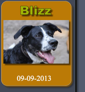 Blizz 09-09-2013