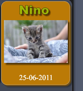 Nino 25-06-2011