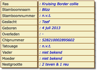 Ras Stamboomnaam Stamboomnummer Geslacht Geboren Overleden Chipnummer Tatouage Vader Moeder Nestgrootte : Kruising Border collie : Blizz : n.v.t. : Teef : 4 juli 2013 : - : 528210002895602 : n.v.t. : niet bekend : niet bekend : 2 teven & 1 reu