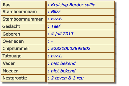 Ras Stamboomnaam Stamboomnummer Geslacht Geboren Overleden Chipnummer Tatouage Vader Moeder Nestgrootte : Kruising Border collie : Blizz : n.v.t. : Teef : 4 juli 2013 : - : 528210002895602 : n.v.t. : niet bekend : niet bekend : 2 teven & 1 reu