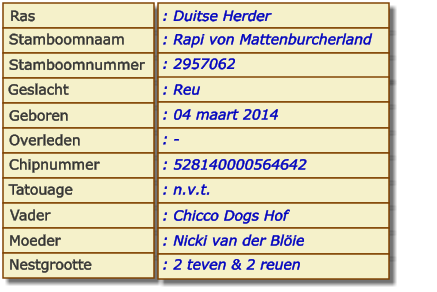 Ras Stamboomnaam Stamboomnummer Geslacht Geboren Overleden Chipnummer Tatouage Vader Moeder Nestgrootte : Duitse Herder : Rapi von Mattenburcherland : 2957062 : Reu : 04 maart 2014 : - : 528140000564642 : n.v.t. : Chicco Dogs Hof : Nicki van der Blöie : 2 teven & 2 reuen