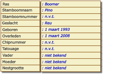 Ras Stamboomnaam Stamboomnummer Geslacht Geboren Overleden Chipnummer Tatouage Vader Moeder Nestgrootte : Boomer : Pino : n.v.t. : Reu : 1 maart 1993 : 1 maart 2008 : n.v.t. : n.v.t. : niet bekend : niet bekend : niet bekend