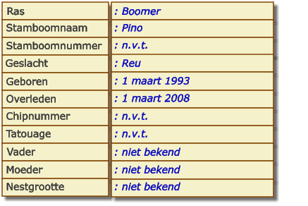 Ras Stamboomnaam Stamboomnummer Geslacht Geboren Overleden Chipnummer Tatouage Vader Moeder Nestgrootte : Boomer : Pino : n.v.t. : Reu : 1 maart 1993 : 1 maart 2008 : n.v.t. : n.v.t. : niet bekend : niet bekend : niet bekend