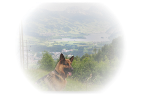 Luca op de Rigi Berg
