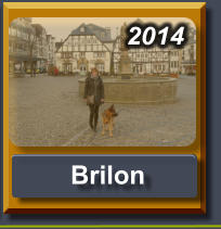 2014   Brilon