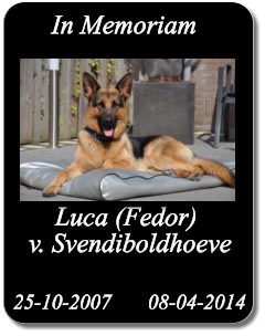 Luca (Fedor) v. Svendiboldhoeve 25-10-2007       08-04-2014 In Memoriam