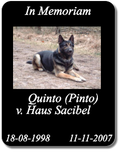 Quinto (Pinto) v. Haus Sacibel 18-08-1998        11-11-2007 In Memoriam